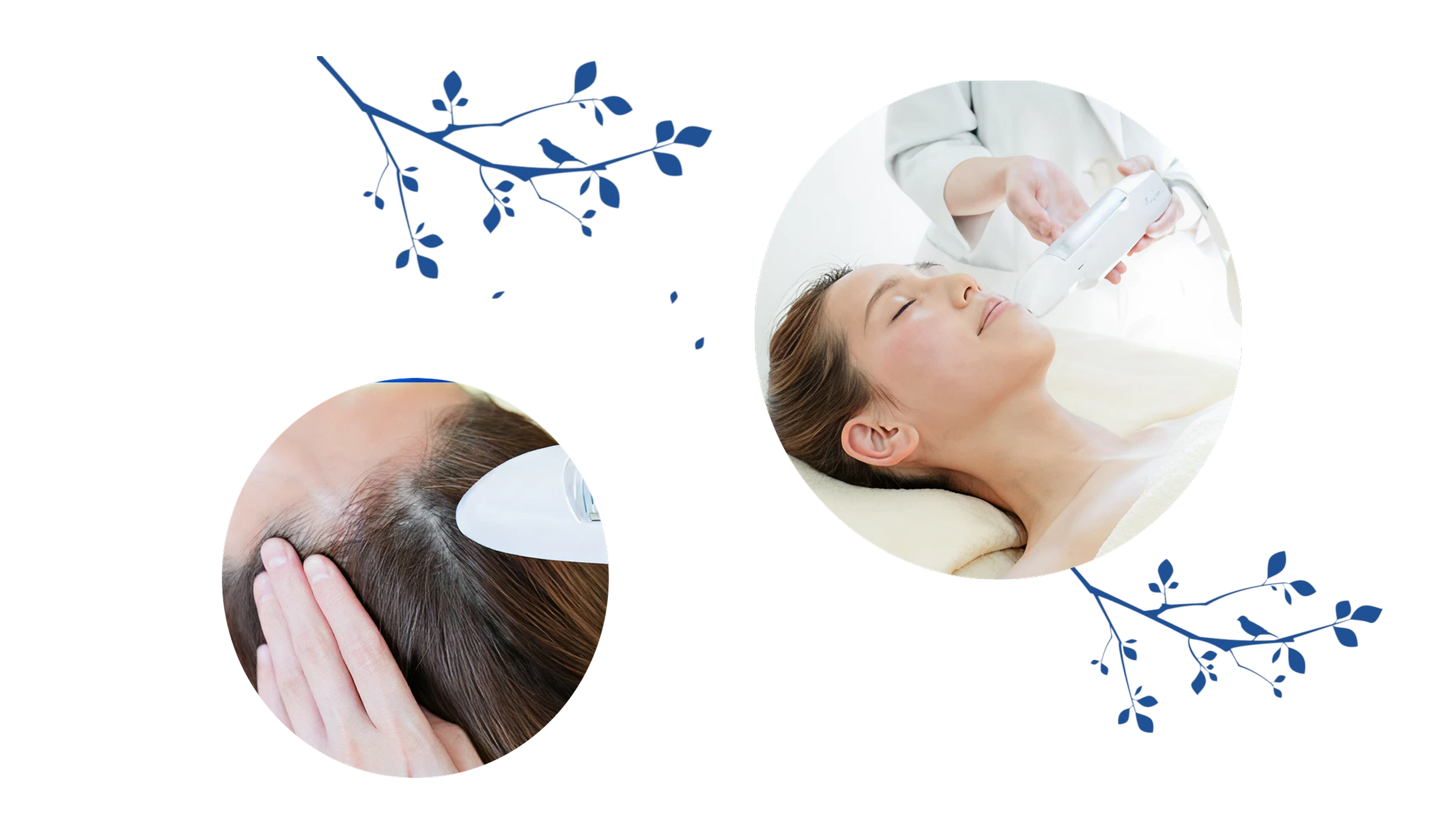 ミコステラフェイシャル・頭皮スカルプケアの施術中の写真